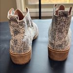 Ccocci  Snakeskin Ankle Booties in Black and Cream Photo 5