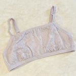 Aerie NWT  Light Purple Coral Lace Bandeau Bralette - Size: Extra Large Photo 0