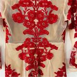 For Love & Lemons deep V-neck Layered
Lace Mini Dress in Wine Photo 8