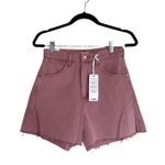 Wrangler NWT X Anthropologie A-Line Shorts In Color Honey / PInk Photo 12