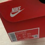 Nike Brand New Dunk High Retro Photo 1