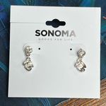 Sonoma Silver Earrings Photo 1