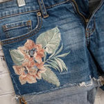 Aeropostale  Jean Shorts Sz4 Photo 1