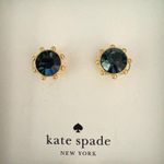 Kate Spade Flying Colors Bezel Stud Earrings Montana Blue NWT Photo 0