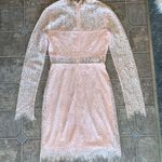 Lulus Appetite For Seduction Lace Dress Blush Pink Photo 2