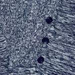 Roxy Woman’s Long Sleeve Collared Black & White Speckled Sweater Size Medium Photo 3