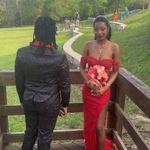 La Divine Red Sparkly Prom Dress Photo 1