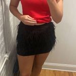 Blue B Skirt Photo 1