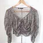 ZARA Leopard Print Sheer Cropped Top Size Small Photo 1