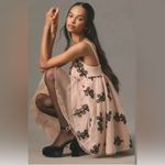 Anthropologie Square-Neck Tulle Babydoll Mini Dress Photo 3