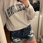 American Eagle  Shorts  Photo 0