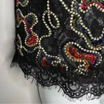 ZARA  TRAFALUC Top Womens Size Medium Colorful Embroidered Black Lace Maximalist Photo 4
