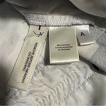 Ann Taylor Devin Fit Blue & White Gingham Shorts Women’s Size 14 Photo 4