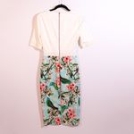 Ted Baker Julieta Nectar Bodycon Dress In Pale Green Floral Bird Print Pattern S Photo 3