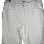 Style & Co . Curvy Skinny Leg White‎ Jeans Photo 1