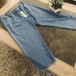 Alfred Dunner Petite Alfred Dunner Womens Solid Short Pant Photo 1