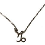 Capricorn Horoscope Sign Charm Pendant Necklace Silver Photo 0