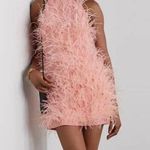 Cult Gaia $1398 NWOT  Shannon Dress Pink Feathers‎ Size XS Photo 0