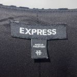 EXPRESS  Womens Jacquard Velvet‎ Leopard Sparkly Long Sleeve Bodysuit Black XS Photo 3