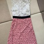 Sandro NWOT  two-tone lace dress with high neck Photo 2