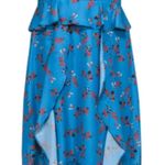 Parker  - Robin Egg Blue & Orange Floral Ruffled "Prairie" Maxi Dress Sz small Photo 2