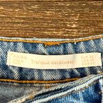 ZARA TRF Floral Embroidered Cotton Denim Shorts Blue High Rise Size 4 Photo 3