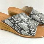 Treasure & Bond Womens Sandals Slides Wedge Heel 7 Photo 0