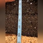 CoMMENSE Sequin Photo 8