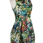 ZARA floral botanical tulip Bloggers Celeb Fave Dress Olivia Palermo Small Photo 6