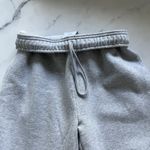 Aritzia  Sweatfleece Mega Fit Sweatpants Joggers Size XS Gray Gorpcore Y2K Skater Photo 5