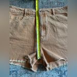 Anthropologie Pilcro cutoff denim shorts size 31 Photo 2