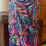Lilly Pulitzer  Felizia Dress Photo 0