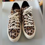 Converse  Women's Chuck Taylor All Star Lift Ox Canvas NEW in box size 8 platform Photo 1