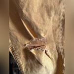 Celebrity Pink  size 11 mustard jeans Photo 1