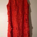 Allison Joy sz XS Photo 1