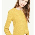 Ann Taylor Womens Blouse Sz Large Petite Geo Flounce Cuff Popover Aztec Gold NEW Photo 0