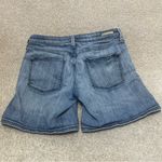 Pilcro and the Letterpress Anthropology  Denim Shorts - Size 27 Photo 1