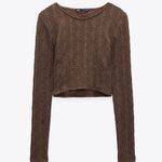 ZARA Brown Crop Top Photo 0