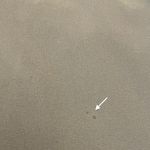 Athleta ‎ Light Grey Aspire Ankle Adjustable Jogger Sz 6 Tall Photo 13