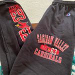 Champion SVSU  Sweatpants Photo 0