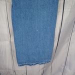 Vervet Flying Monkey Destroyed Blue Jeans Photo 13