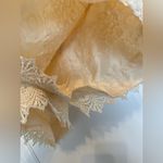 Sans Souci  Ivory Shorts size XL Photo 3