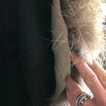 Perry Ellis Vintage 1960's-70's Fur Trimmed long black wool coat size 10 Photo 15