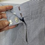 Talbots  signature pin striped ankle pants Photo 2