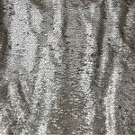 Lucy Paris  champagne /copper Sequin maxi Skirt Photo 2