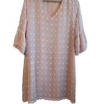 Belongsci Women Mini Dress L Pink 3D Distressed Dots Chiffon Romantic Cottage Size L Photo 0