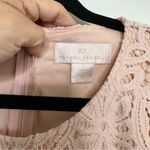 Rachel Parcell Floral Lace Sheath Mini Dress in Rose Smoke Pink Photo 6