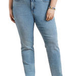 Talbots  Straight Leg Jeans Women’s Plus Size 16W Carolina Wash High Rise Stretch Photo 0