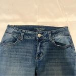 Maurice's Blue Skinny Jeans with Stretch Photo 3