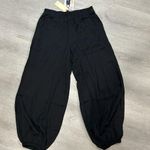 Nation Ltd nwt //  drawstring satin balloon jogger pants with pockets Photo 0